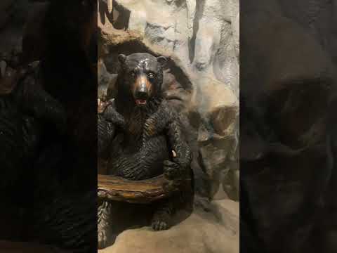 #บ้านสิงห์ธรรม #เชียงคำ #พะเยา #ถ้ำสิงห์