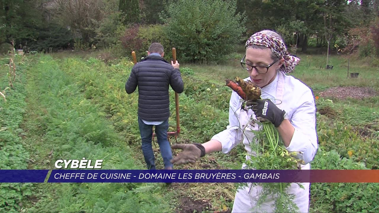 Yvelines | Cybèle, une américaine entre four et jardin à Gambais