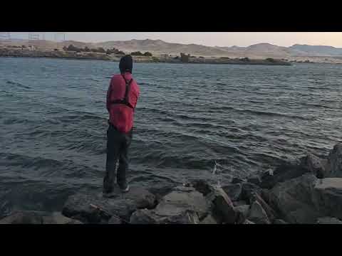 SOFT JERKBAIT FISHING FOR STRIPER SOFT PLASTIC NOR 