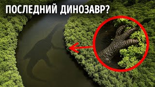 Невероятные находки в реках – включая динозавра в Конго