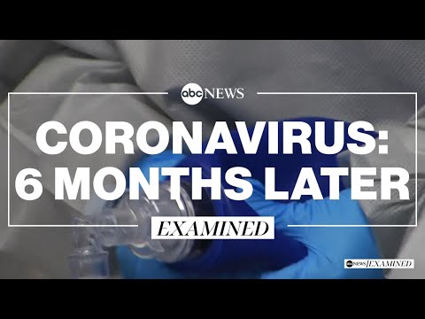 Coronavirus: 6 months later