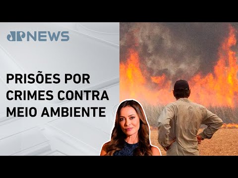 Apenas um em cada 400 crimes ambientais acaba em prisão; Patrícia Costa comenta