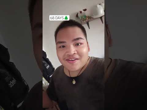 D-68 | COUNTDOWN TO CHRISTMAS DAY #christmastree #christmas #holidayseason #holiday #birthofjesus