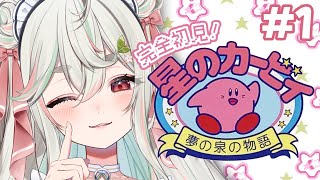 #1【星のカービィ夢の泉の物語】完全初見❕オススメされた神作いっくぞ～～ッ❕🍅⚔【#新人Vtuber/緑青くれは】