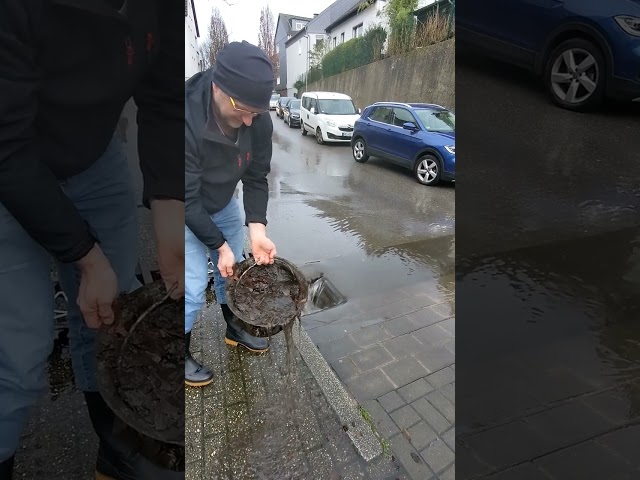 S#055-2  Unclogging a storm drain after rain in Germany, #shorts