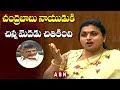 Roja Comments on Chandrababu in AP Assembly