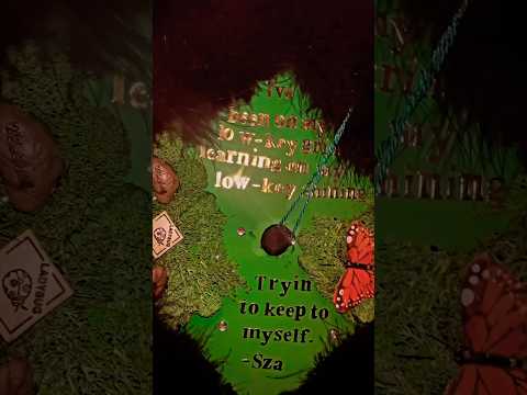 Sza inspired graduation cap 🎓