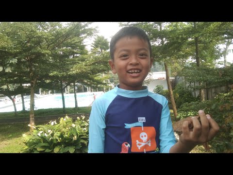 Mumtaaz Latihan Renang Lagi sedang live sekarang!