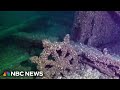 140-year-old ghost ship found in Lake Michigan