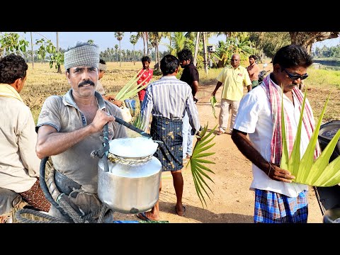 Juice of Toddy Palm | Natural Toddy Sap Juice | Palmyra Palm Juice| Tala Palm | Thati Kallu | Neera