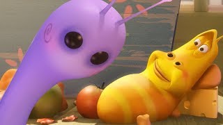 Larva - Fialový