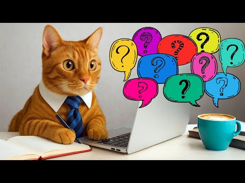Science Reveals: 6 Words Cats Actually Understand