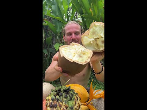 Have You Ever Seen This Fruit Before?