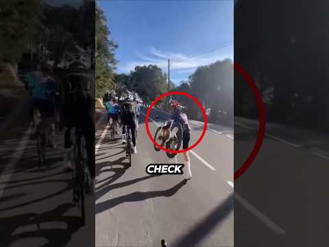 Genius Racer, What do you Think?