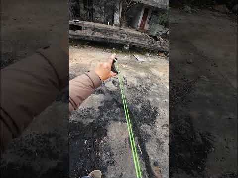 How can beginners use a slingshot to aim accurately?#shorts #foryou #slingshot #hunting #outdoors