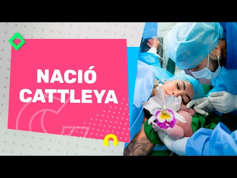 Nació Cattleya, La Bebé De Anuel AA Y Yailin | Casos Y Cosas