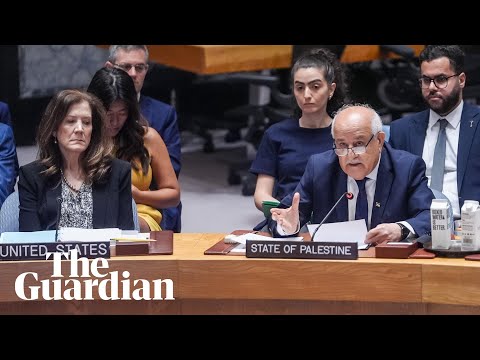 UN ambassadors discuss Israel's Gaza City seizure plan