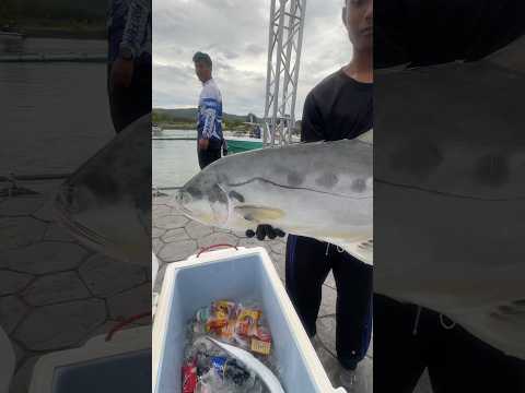 งานนี้มีแต่ปลาใหญ่ๆ YAMAHA PRO FISHING GAME 2025 #yamaha #fishing #game #competition #trophy