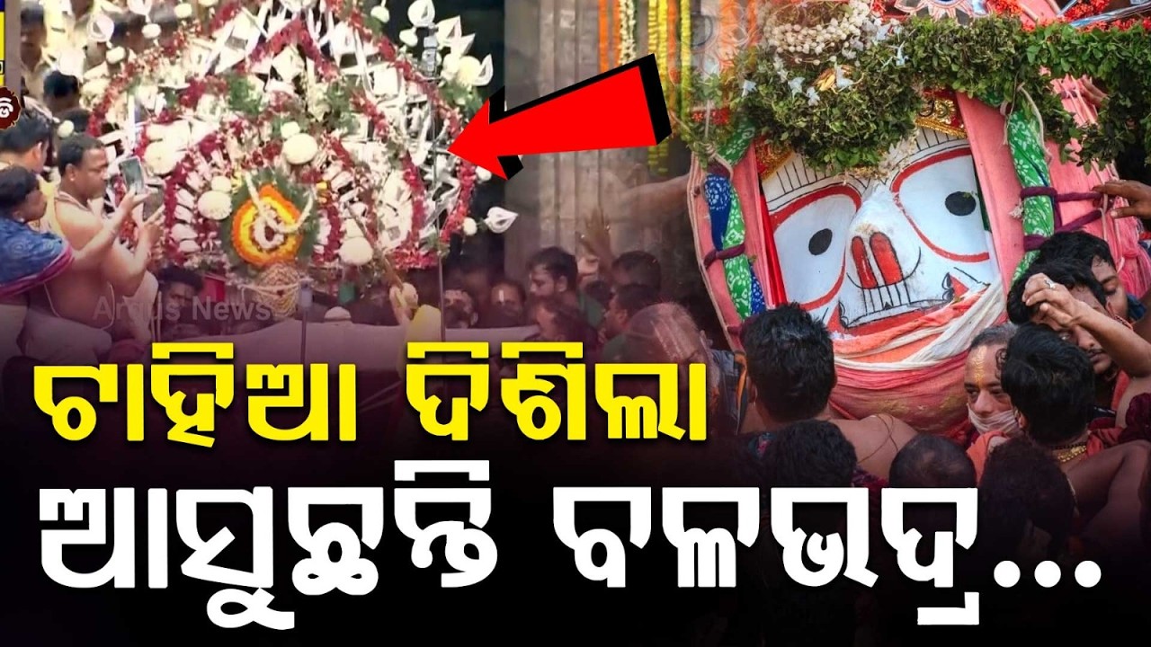 ଟାହିଆ ଦିଶିଲା, ଆସୁଛନ୍ତି ବଳଭଦ୍ର| Bahuda Yatra 2026 | Sudarshana Pahandi | Rath Yatra 2026 | Argus News