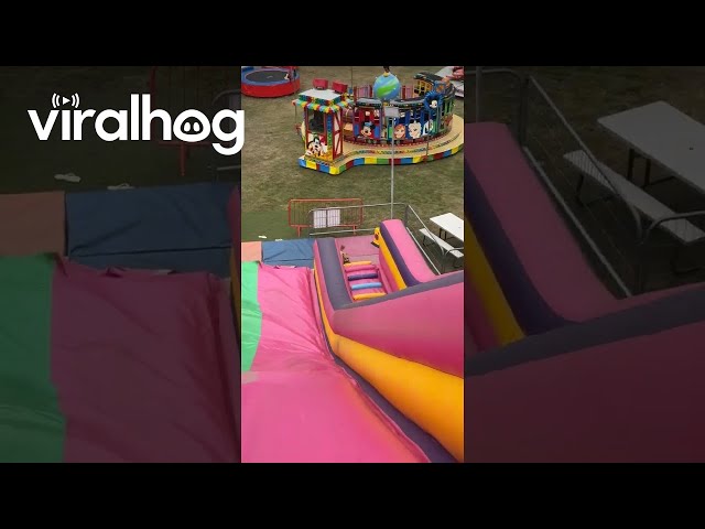 Puppy Plays On Giant Inflatable Slide || ViralHog