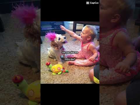 I miss my pup #horse #equestrianjourney #horseenthusiast #stopanimalabuse #horsefan #equestrian