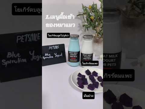 เมนูง่ายๆ สำหรับสุนัขแก่ มื้อเช้าเบาๆช่วยกระตุ้นภูมิคุ้มกัน จากโยเกิร์ตนมแพะออแกนิกpetsmile,มันม่วง