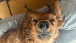 東京へ引越しの前日！札幌は吹雪だった！大丈夫か！？