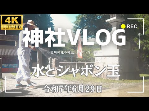 【癒し】神社の朝ルーティン3連発！水やり→打ち水→シャボン玉⛩️