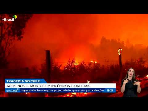 Chile decreta catástrofe climática após 22 mortos por incêndios florestais