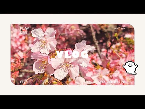【桜vlog】お花見しに三浦海岸駅へ行く休日【独身一人暮らしアラサーOL】