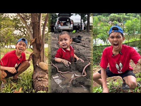 SHORTS KOKO ADENT | Viral | Video Lucu #29