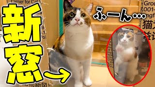 動画サムネイル