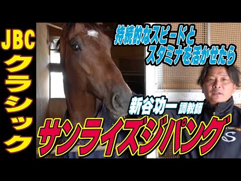 【JBCクラシック2025】サンライズジパング・新谷功一調教師インタビュー「ポジション取りが結果を左右する」「持続的なスピードとスタミナを活かせたら」《東スポ競馬》