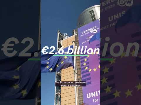 Higher prices for consumers | DW Business
