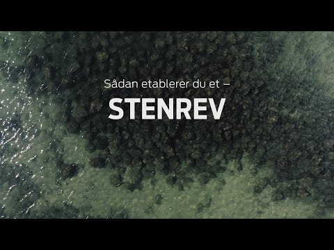 Sådan skaber du et nyt stenrev