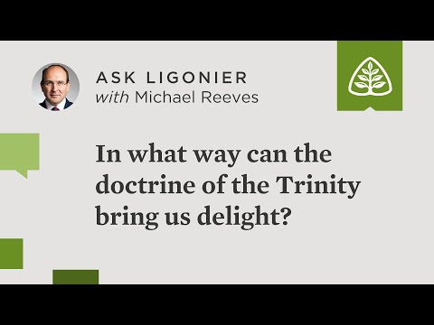 In what way can the doctrine of the Trinity bring us delight?