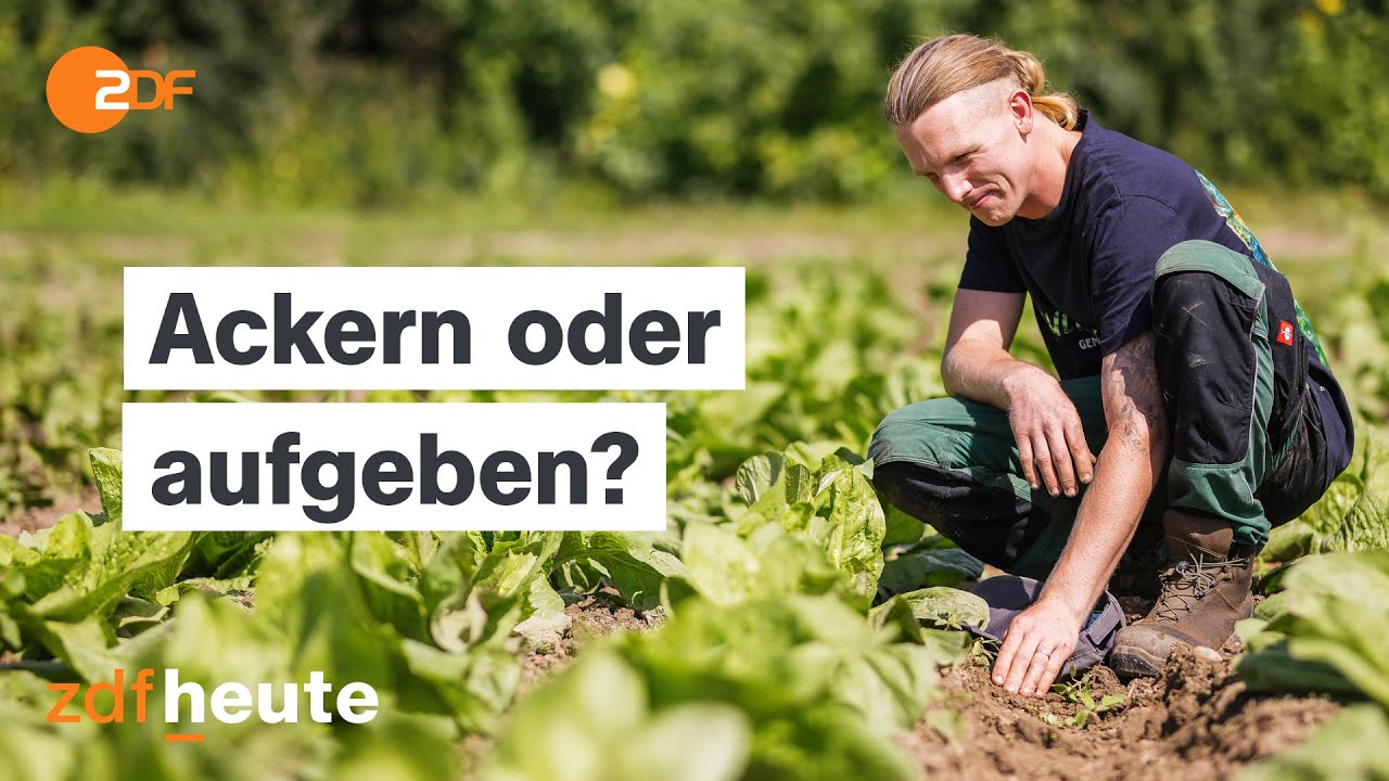 Doku: Das harte Geschäft mit der familiären Landwirtschaft