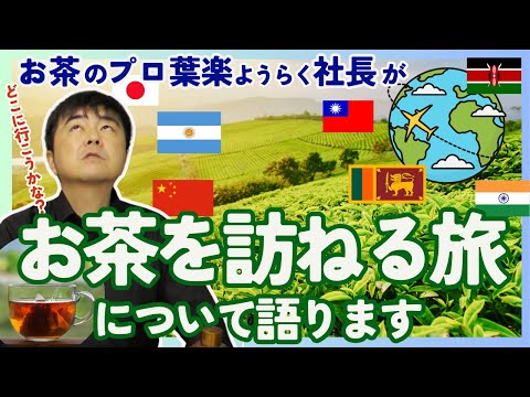 【日本も！世界も！】次はどこへ行こうかな？お茶を訪ねる旅について葉楽社長が語ります【日本茶・烏龍茶・紅茶】