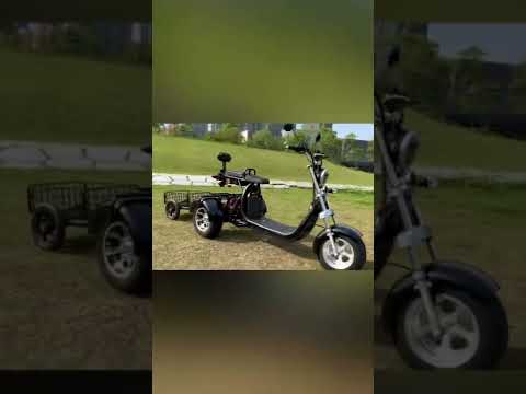 3 wheel electric scooter with rear kit #citycoco #3wheels #trikes #electricscooter #scooter #fatboy