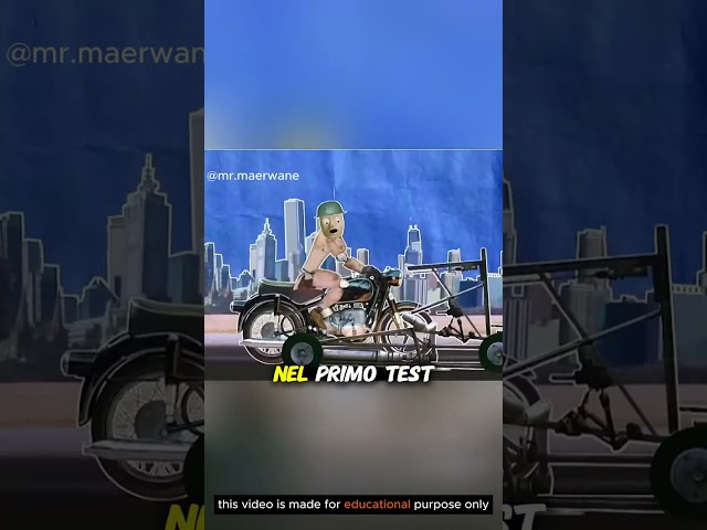 Cosa succede se infili una barra nella ruota di una motocicletta in corsa? 🏍️🌳