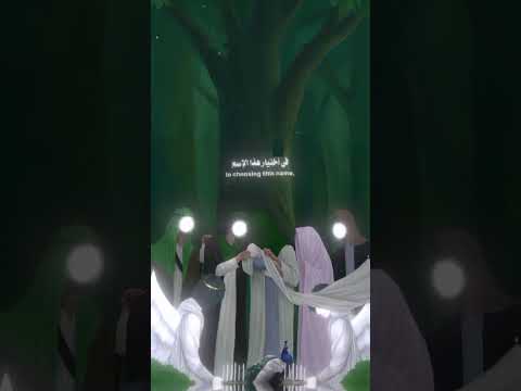 ولاده السيده زينب المصادفه 5 جماد الاول