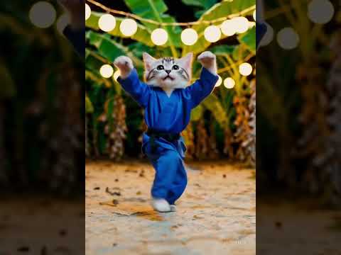 癒しの猫ダンス動画：かわいいAI猫の楽しさを動画で体験しよう サムネイル