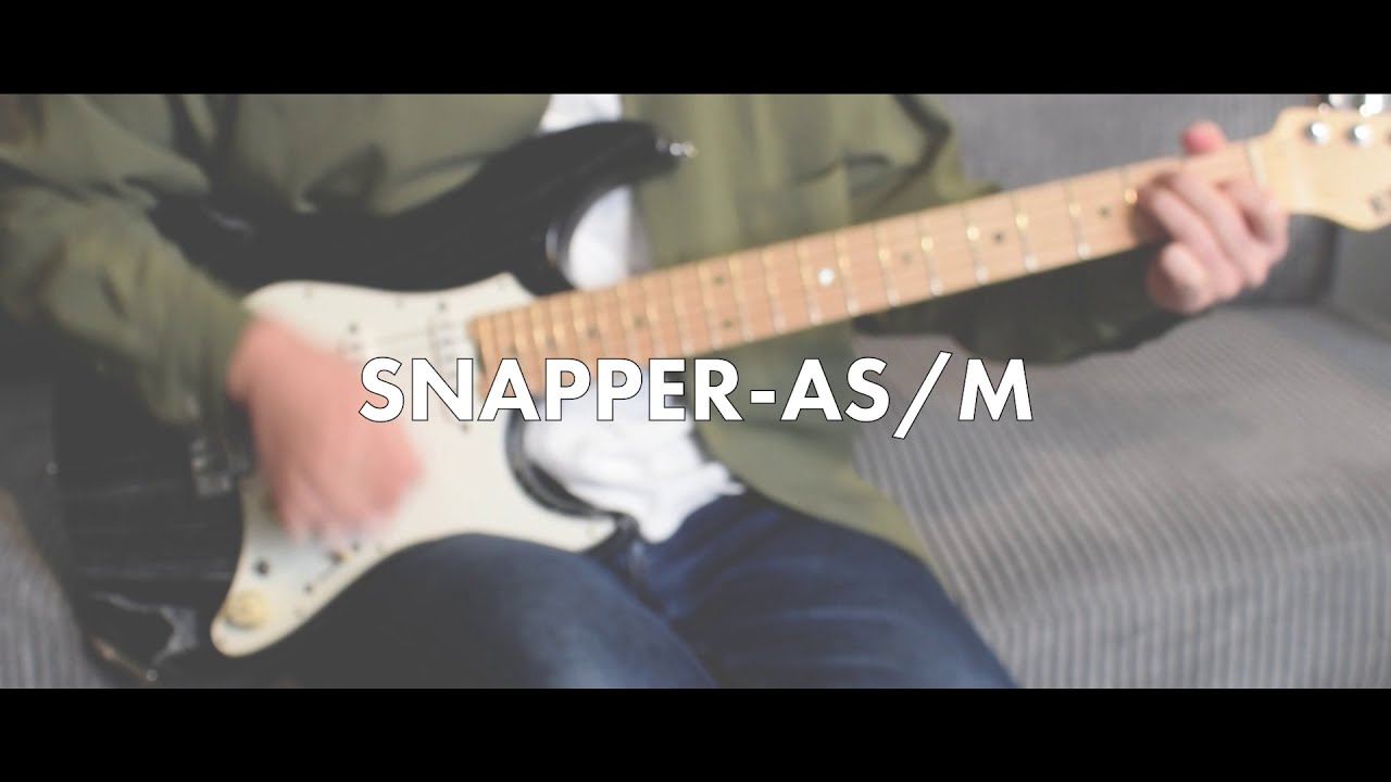 ESP SNAPPER-AS/M Demonstration