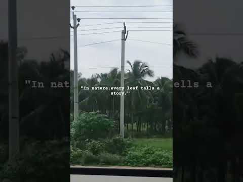 "In nature, every leaf tells a story."