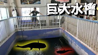 動画サムネイル