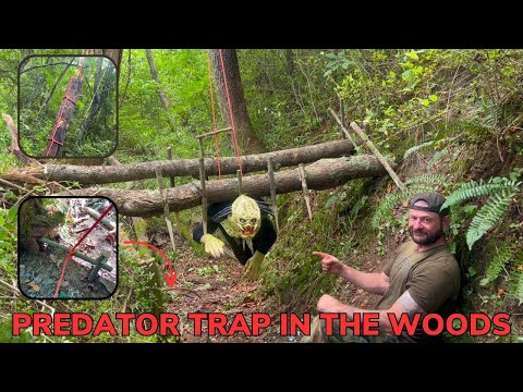 Solo Overnight Survival Instructor Builds Arnolds Predator Trap in The Woods