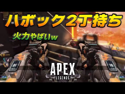 最強武器を2丁持ったら一番強い説を検証してみた Apex Legends