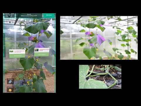 Responsive Web Applications and Augmented Reality Software to visualize the interior conditions and control greenhouses in a sophisticated manner.