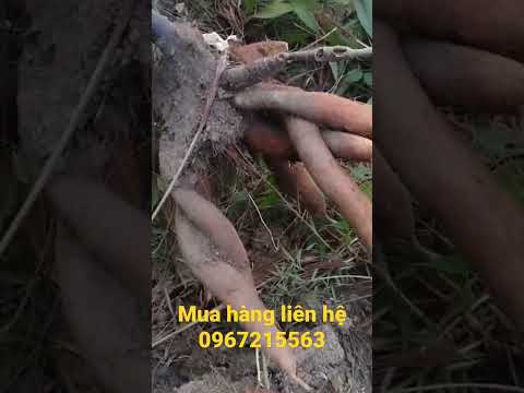 mua hàng liên hệ 0967215563