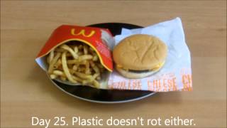 What happens to a McDonalds cheeseburger and fries when left out for a month?